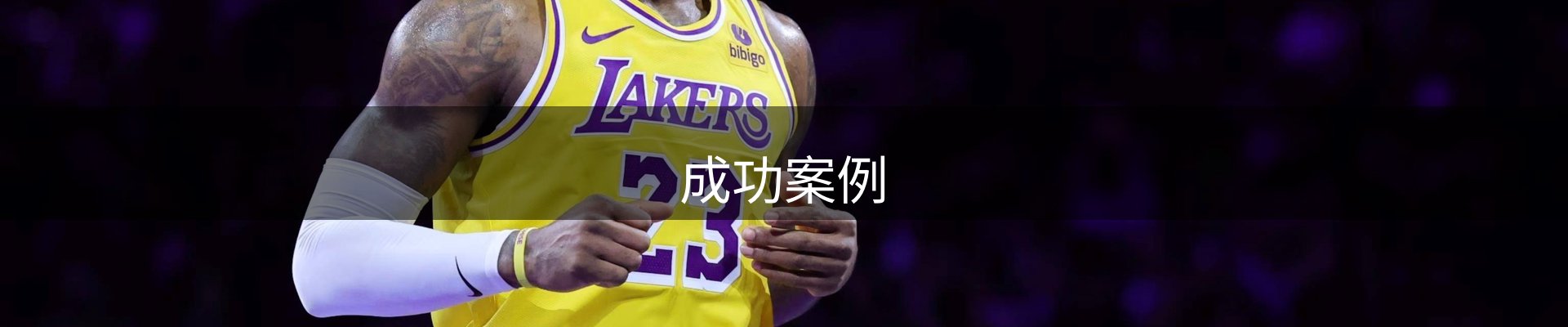 内页banner